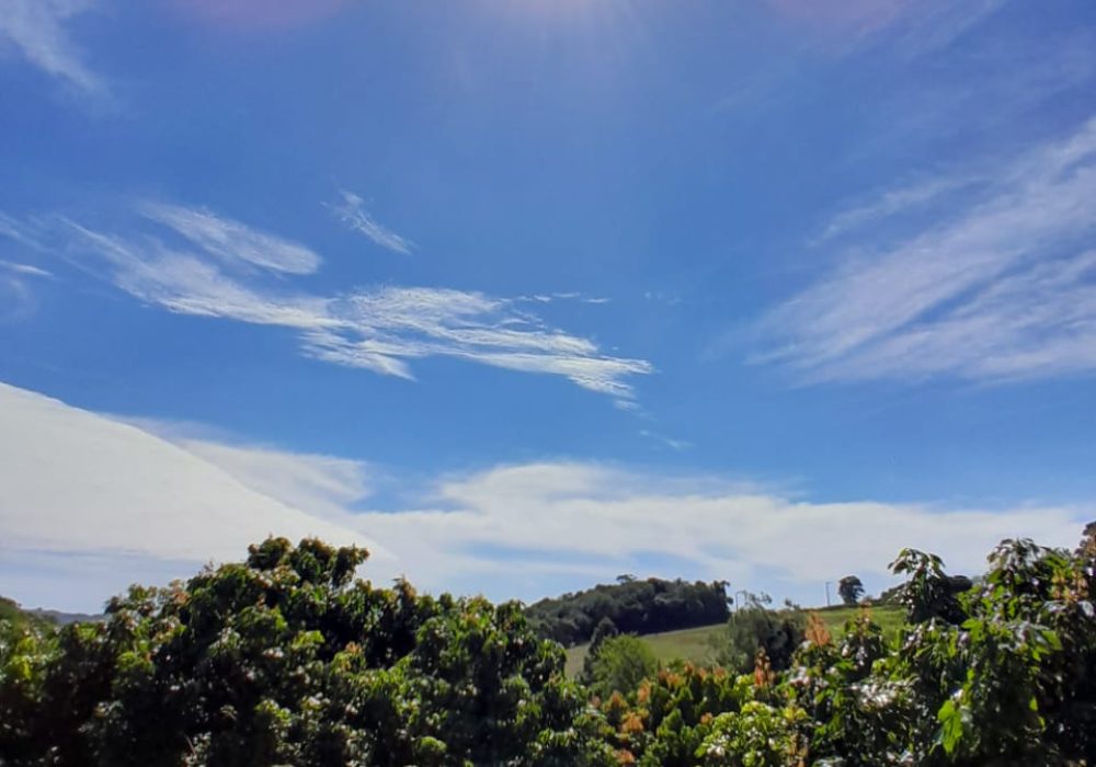 IMG-20250512-WA0046