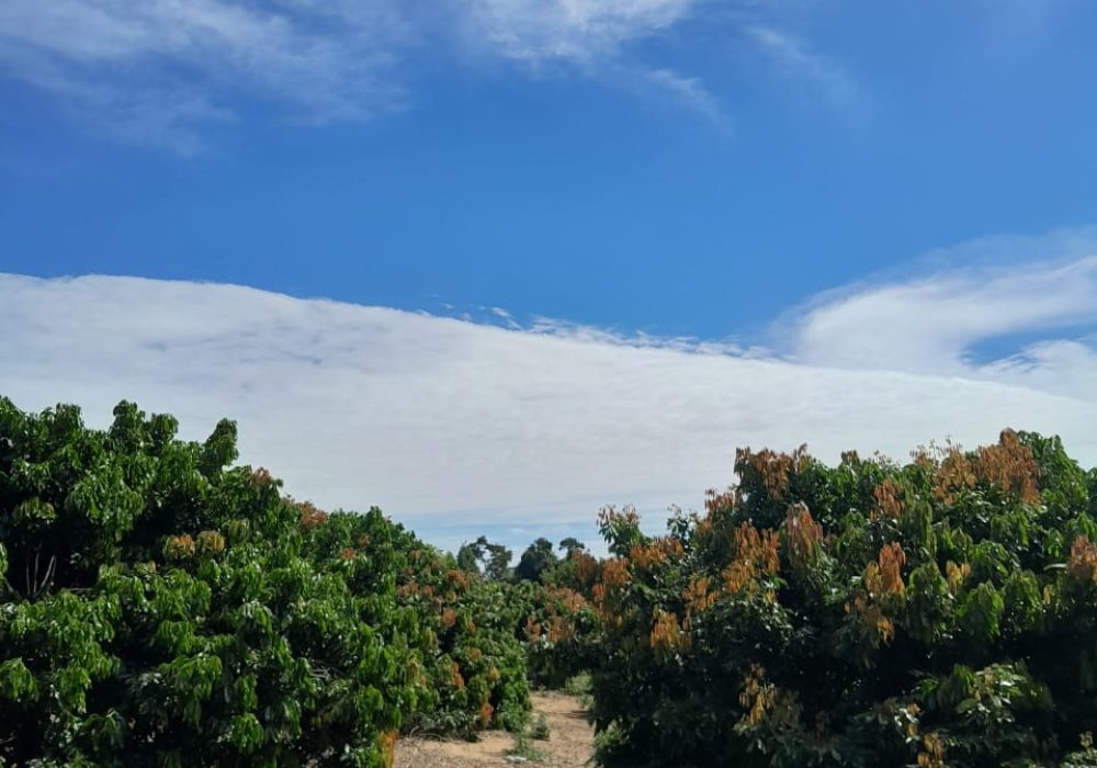 IMG-20250512-WA0056